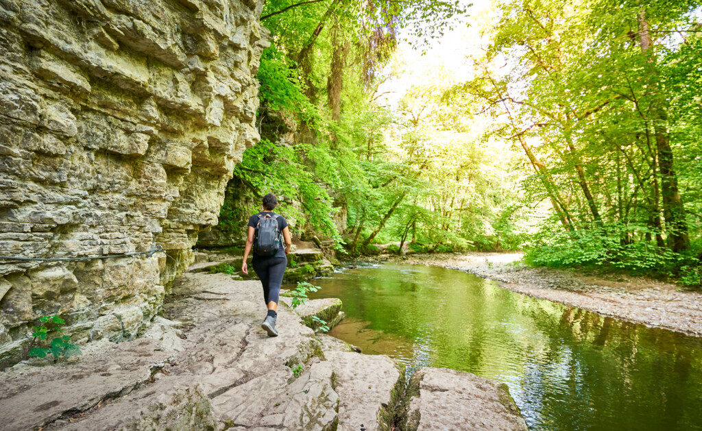 Gorges de la Wutach.jpg