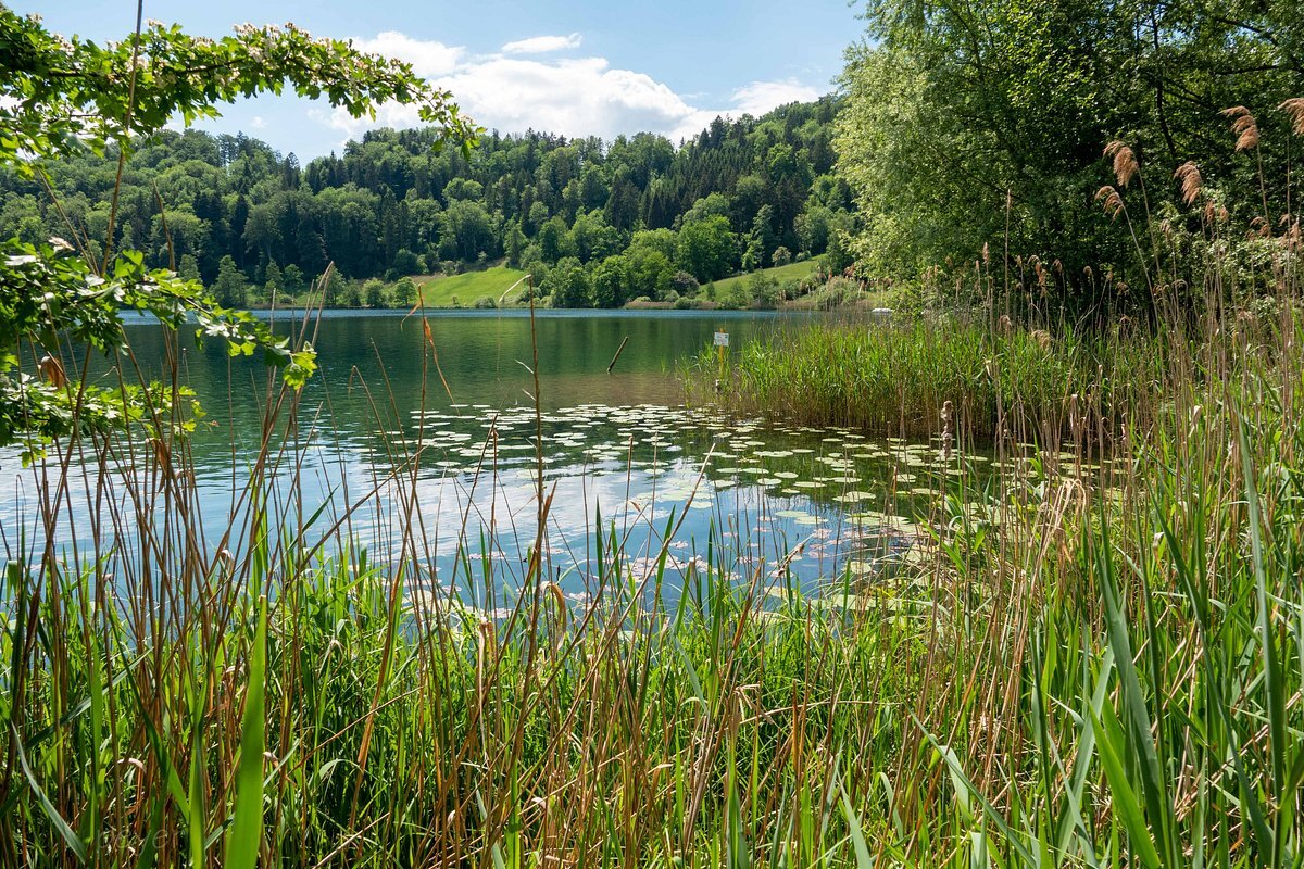 Turlersee.jpg
