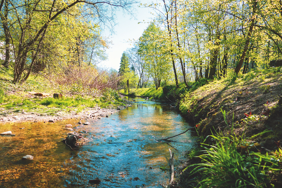 Vallée Yzeron.jpg