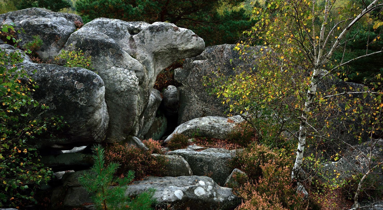 Gorges d'Apremont.jpg