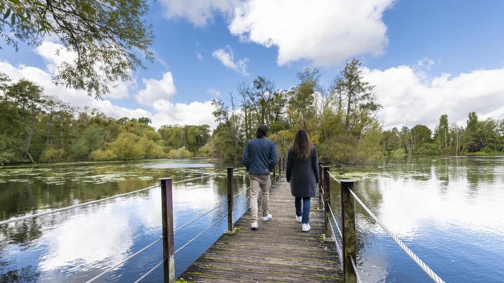 Plus belles randonnées en Seine et Marne