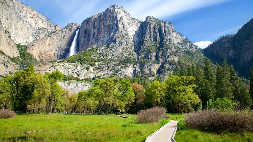 Webcam Yosemite