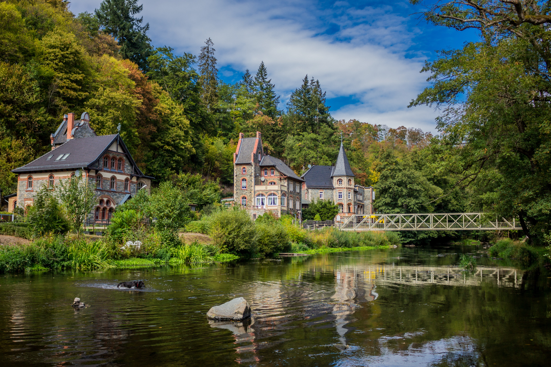Grand Canyon du Harz.jpg