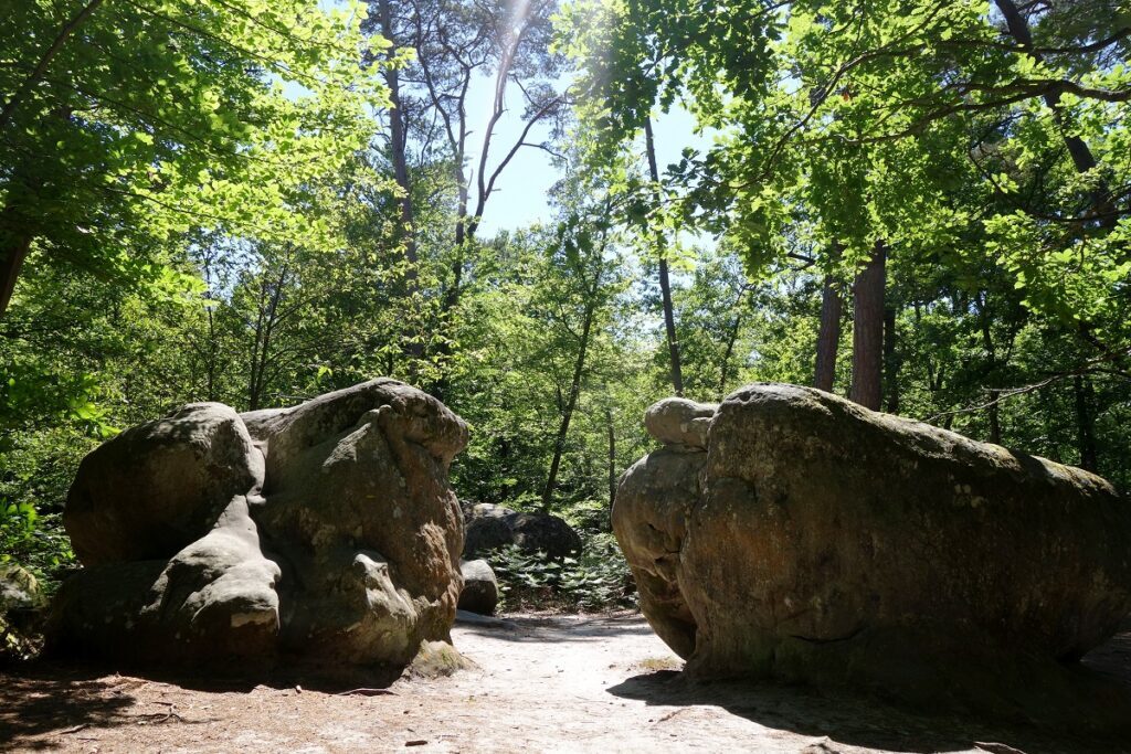 Gorges Apremont.jpg