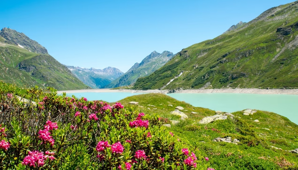 Silvretta`.jpg