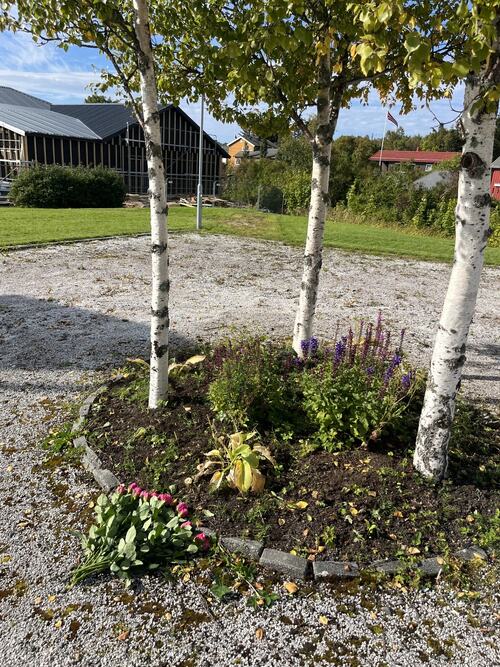 Folk kan legge ned blomster i dette området ved rådhuset. Folk kan legge ned blomster i dette området ved rådhuset.