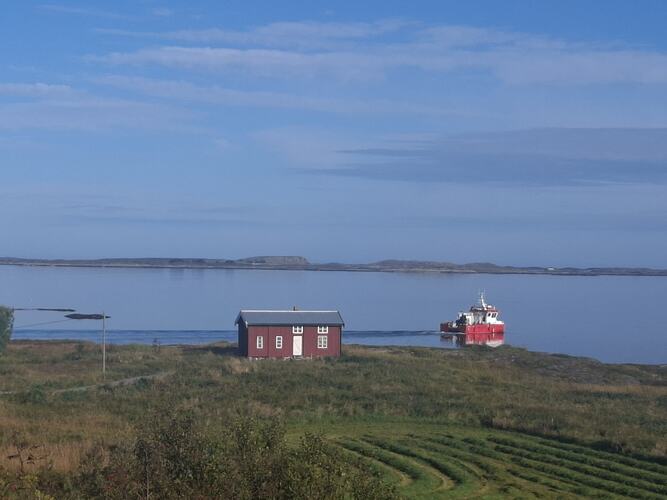 Seløystillæ. (Foto: Kirsti Karlsen)