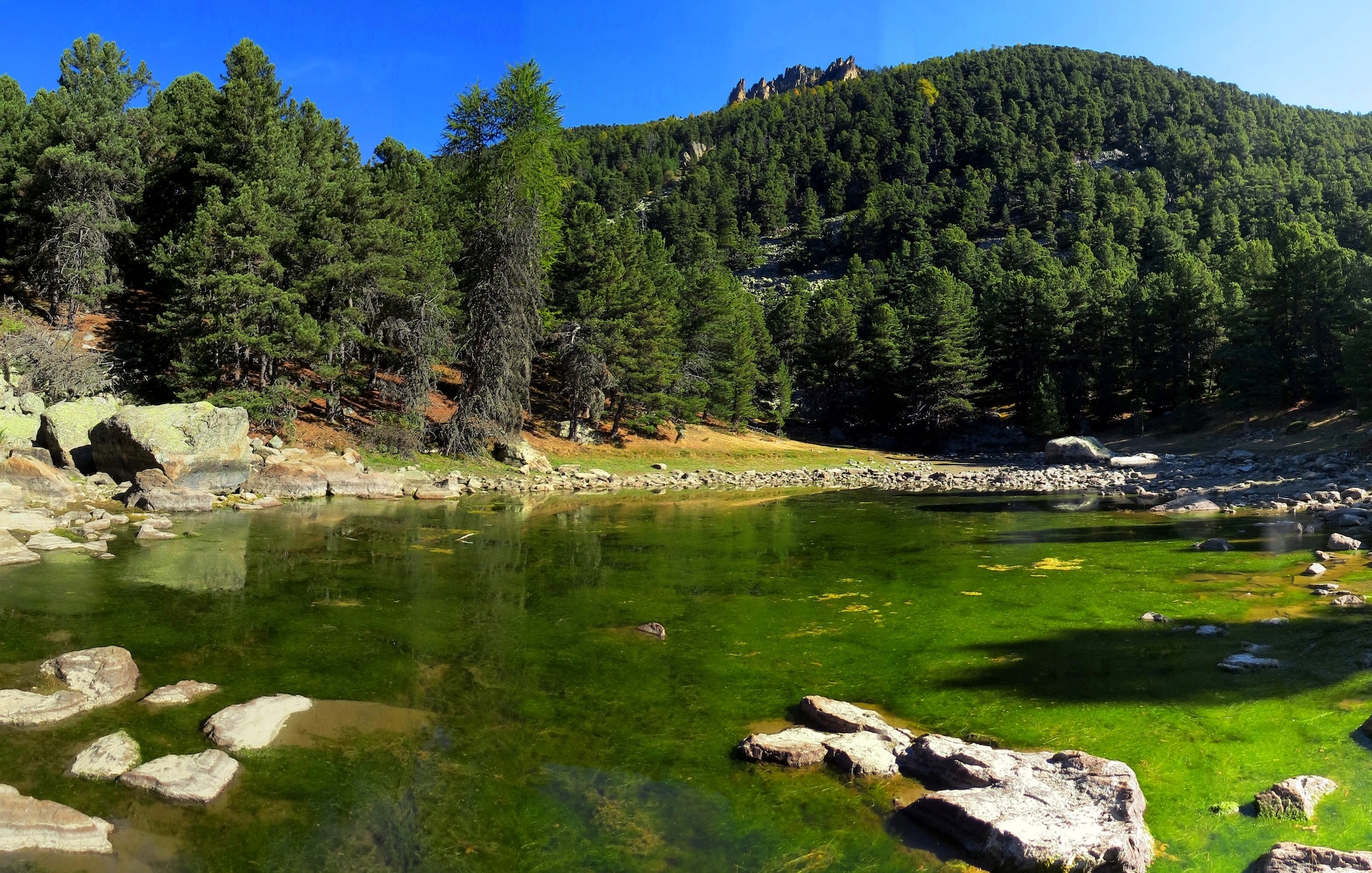 Bosco dell Alevé.jpg
