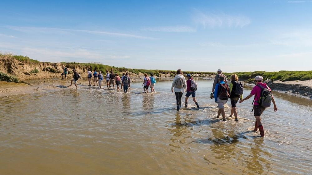 Les plus belles randonnées dans la Somme