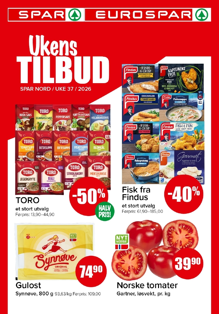 Spar 37-1.jpg