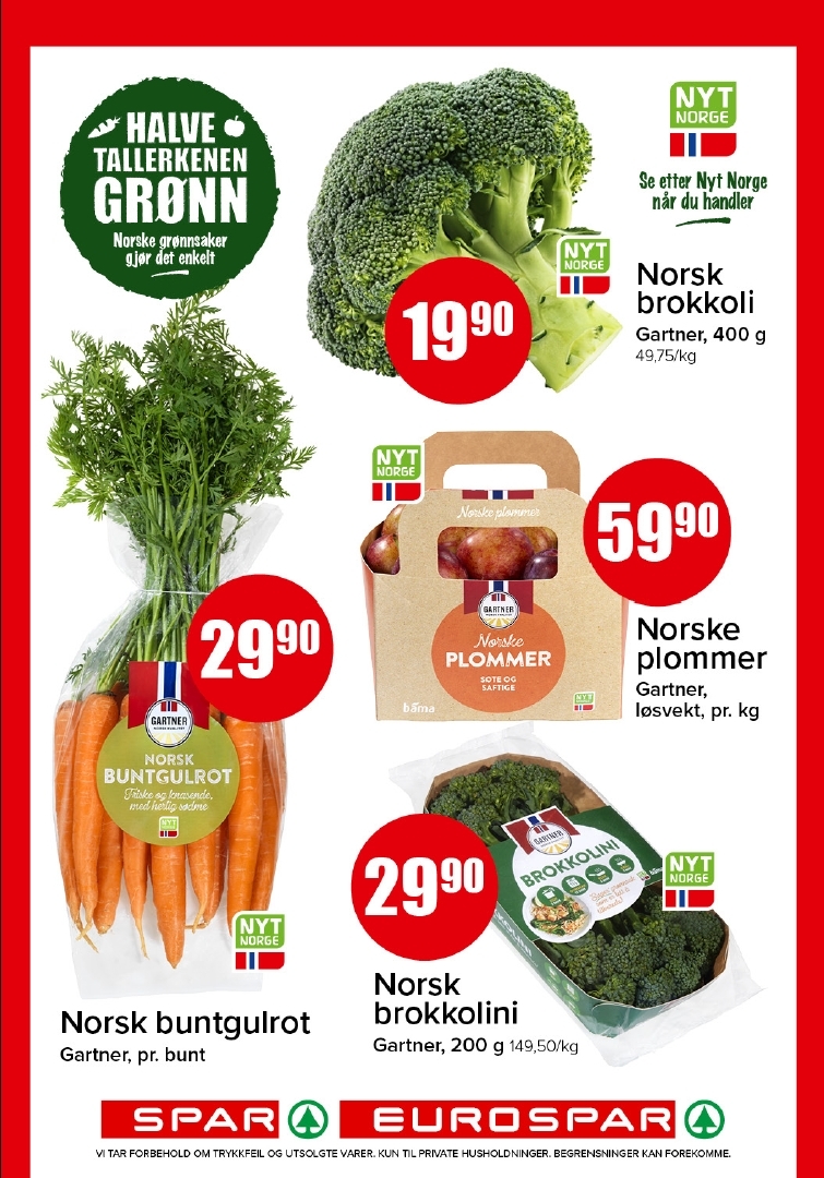 Spar 37-4.jpg