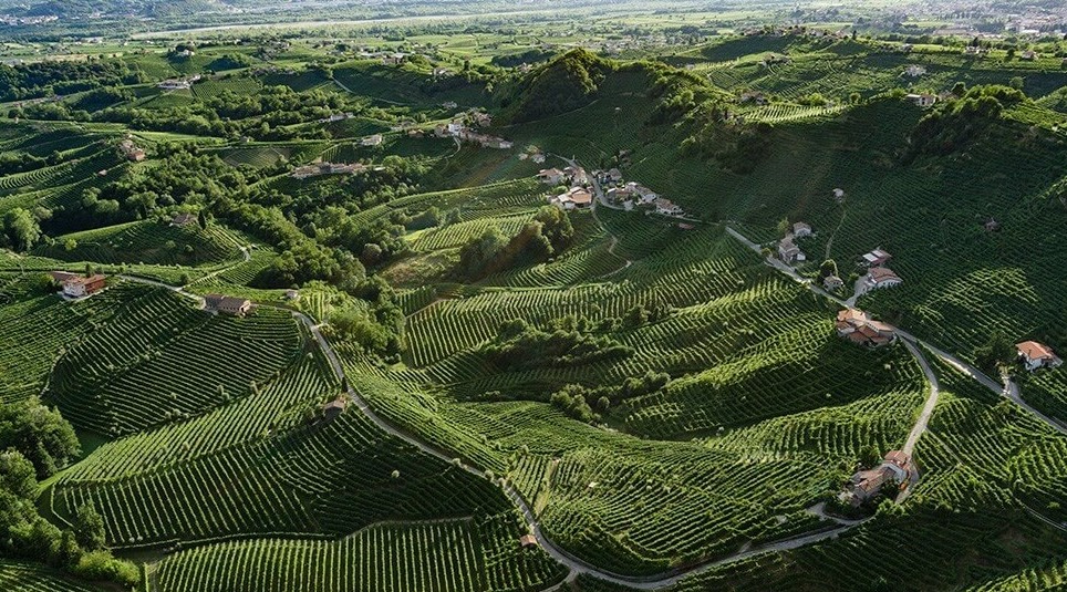 Collines du Prosecco.jpg