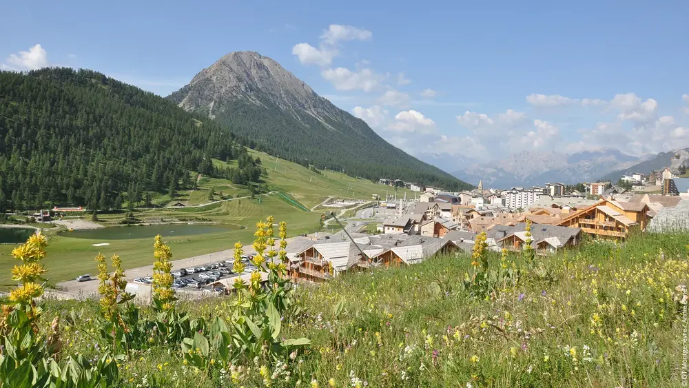 Montgenèvre en été