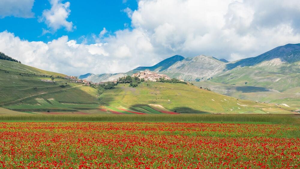 Plus belles randonnées Castelluccio Monti Sibilini