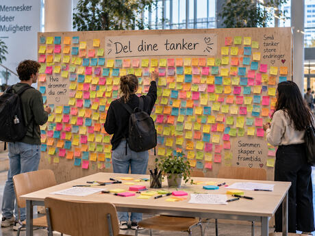 Del dine tanker på idéveggen. Ungdom foran en stor tavle med masse lapper i ulike farger.