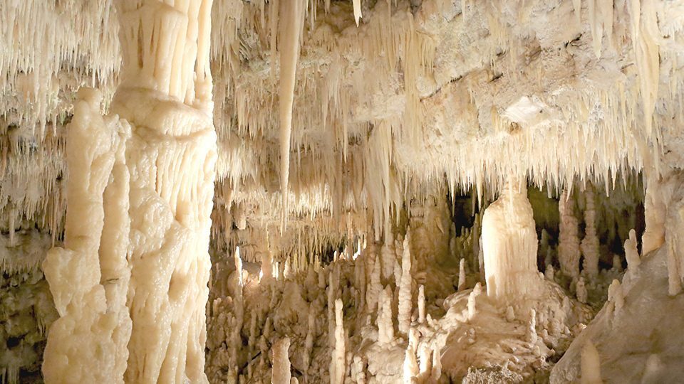 Grotta-bianca Castellana.jpg