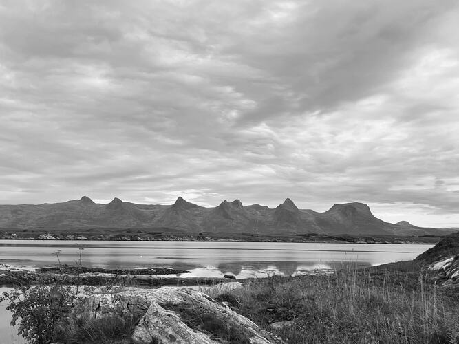 Dager finnes i alle farger - også grå. (Foto: Elbjørg Larsen)