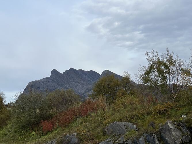 Dønnamannen kviler på høstpute. (Foto: Elbjørg Larsen)