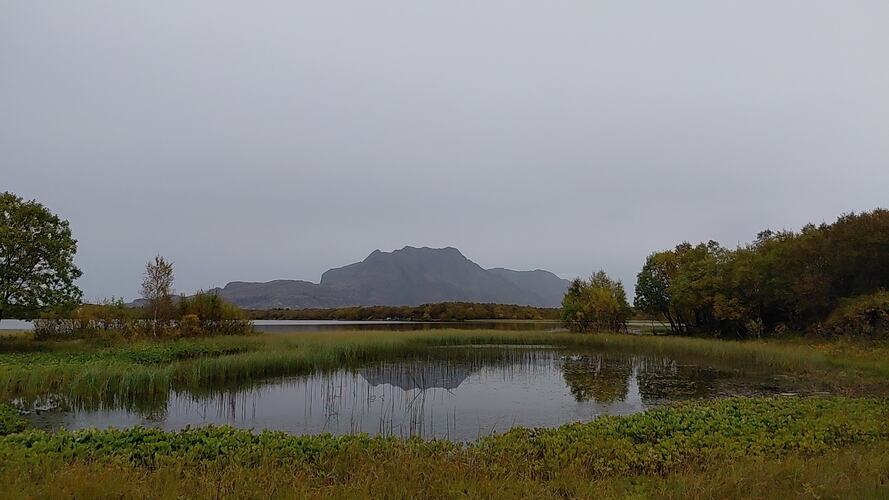 Fint fra Storvatnet. (Foto: Kristin Grande)