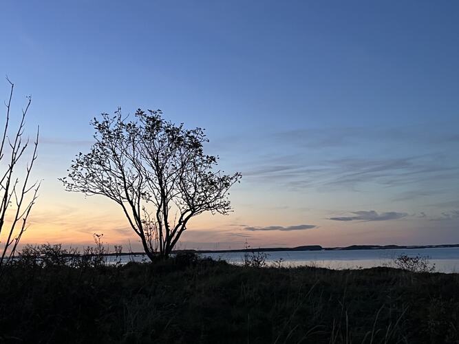 Siste dag i september: Høstfarger i skumringen. (Foto: Elbjørg Larsen)