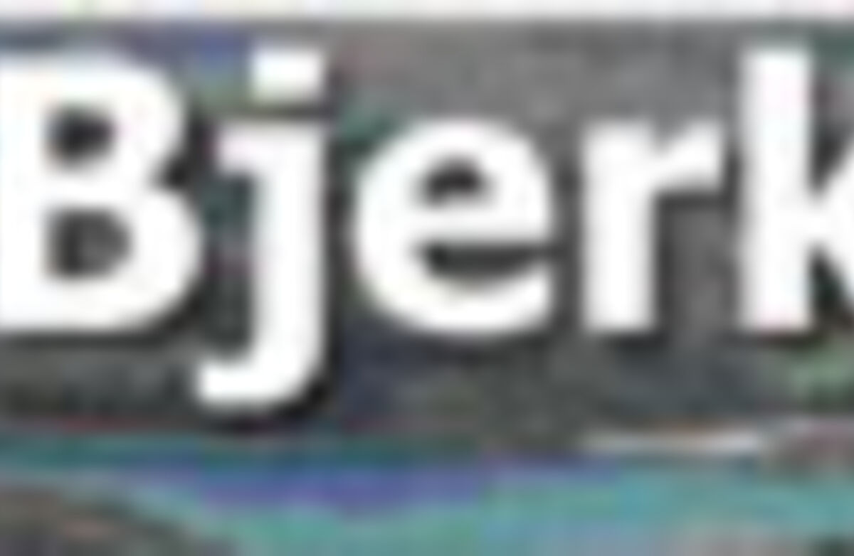 Bjerkreim_del