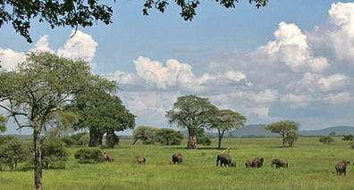 Tanzania Safari 8 dager pÃ¥sken Landskap