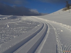 piste-de-ski-de-fond