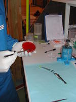 fhl_utstrykning1_medium