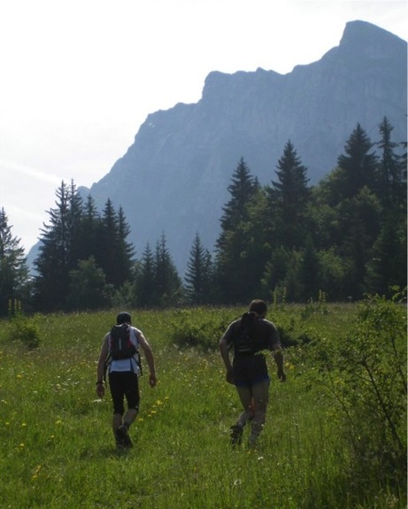 Trail_461x575